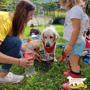 Pet therapy + Agility dog con i Golden Retriever per 1 persona