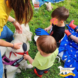 Un pomeriggio con i Golden Retriever per 1 persona