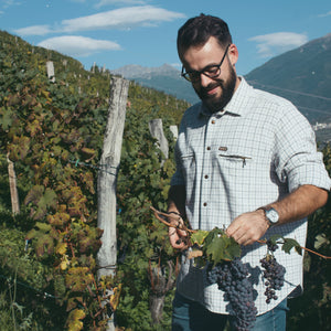 Pernottamento 1 notte in tenuta vinicola vista vigneti