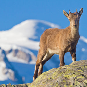 Giornata di trekking con guida