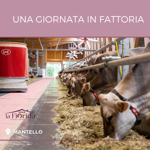 Una giornata in fattoria per 1 persona