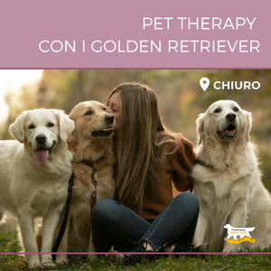 Un pomeriggio con i Golden Retriever per 1 persona