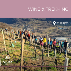 Wine Trekking in vigna con visita in cantina e degustazione per 1 persona