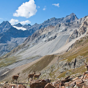 Giornata di trekking con guida