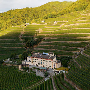 Pic nic In Vigna Per 2 Persone