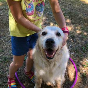 Cani e bambini: divertimento a sei zampe