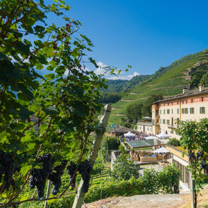 Pic nic In Vigna Per 2 Persone