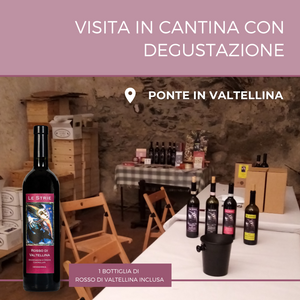 Visita in cantina con degustazione e bottiglia in omaggio per 1 persona