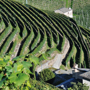 Pic nic In Vigna Per 2 Persone